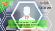 Senior Oracle Apex Developer jobs Houston